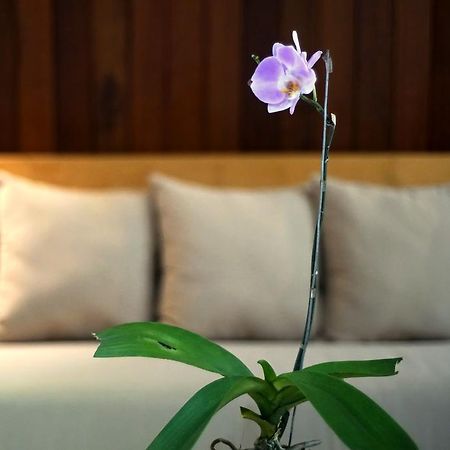 Bale Mandala Villas เซงกีกี ภายนอก รูปภาพ