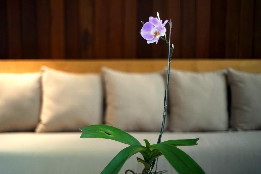 Bale Mandala Villas เซงกีกี ภายนอก รูปภาพ